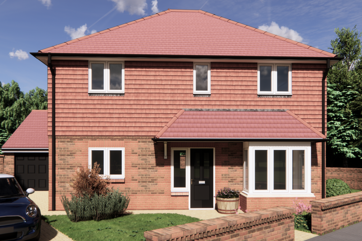 Plot_01_Holm_Oak_Front_View