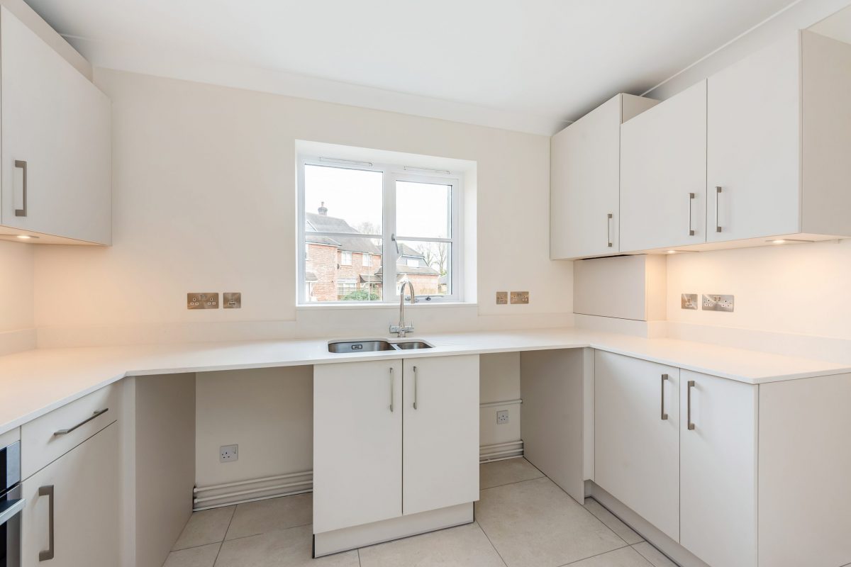 sketch_Ph13_6475797 copy