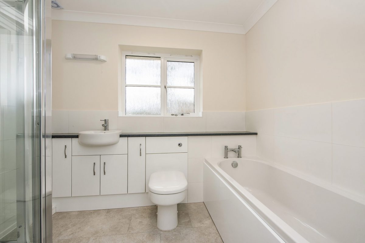 sketch_Ph16_6475837 copy