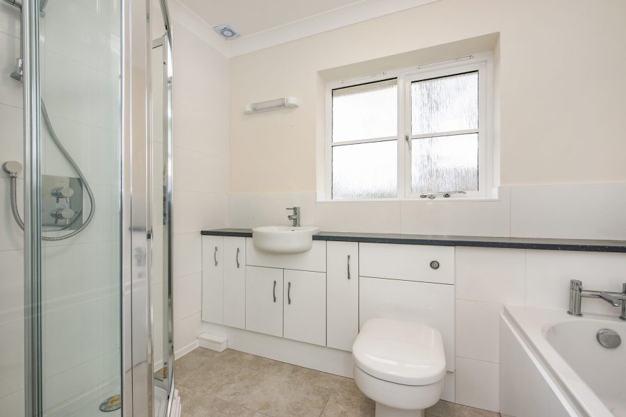 sketch_Ph17_6475839 copy