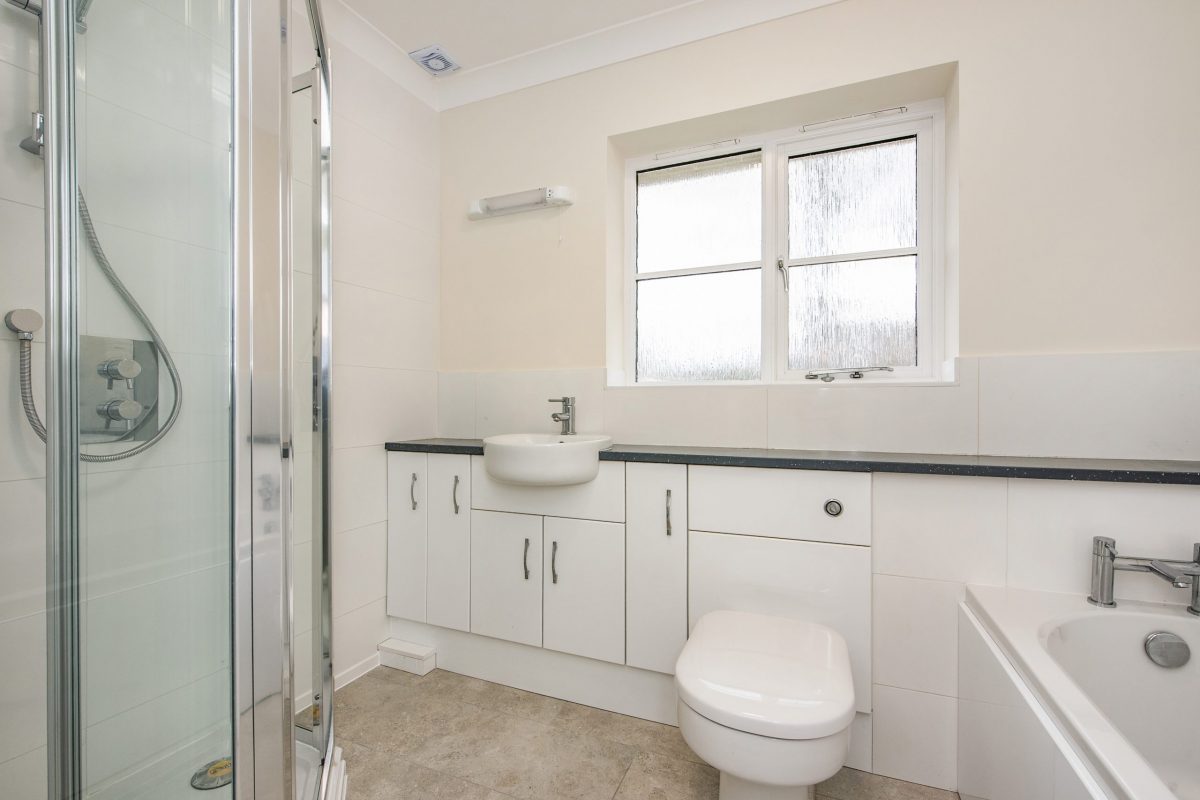 sketch_Ph17_6475839 copy