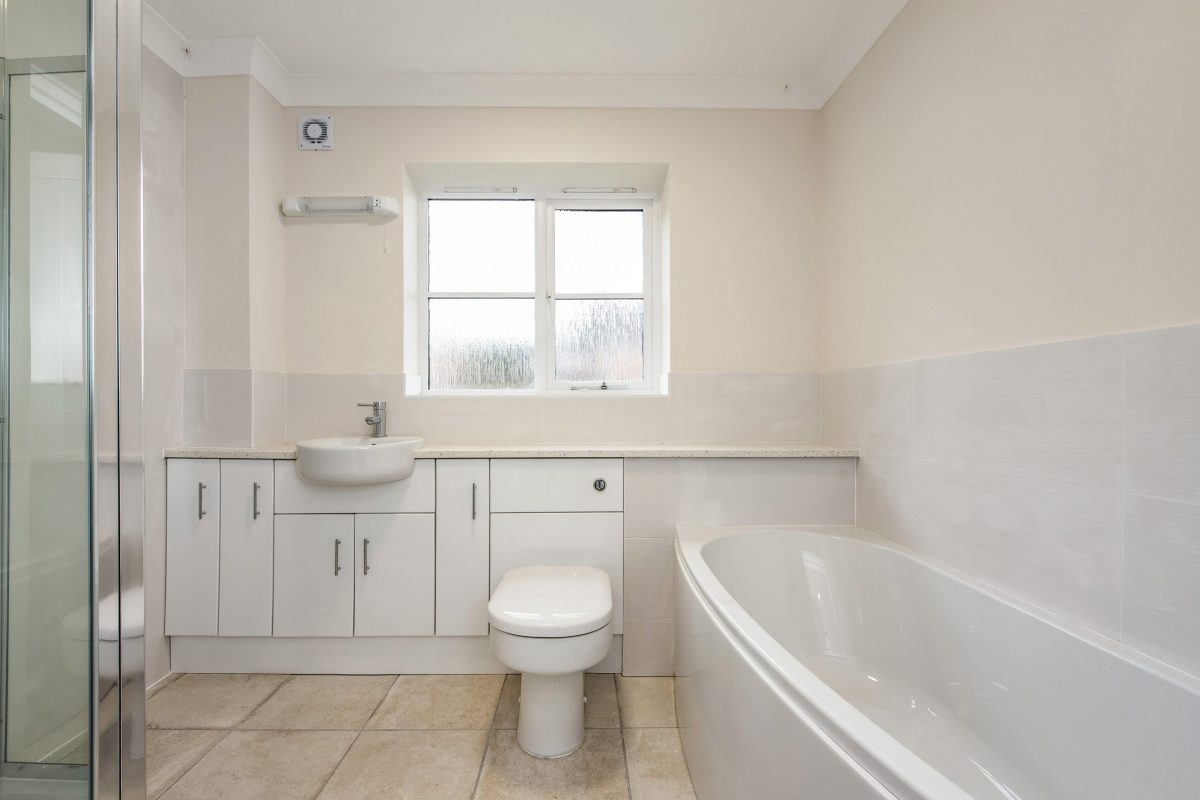 sketch_Ph19_6475770 copy