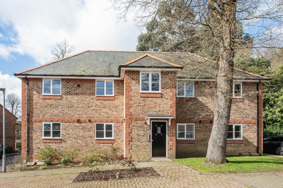 sketch_Ph2_6475816 copy