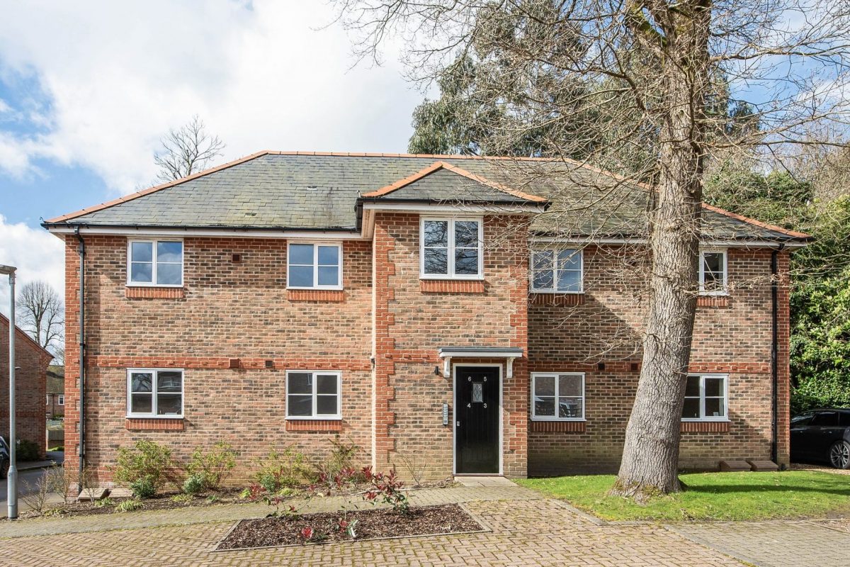 sketch_Ph2_6475816 copy