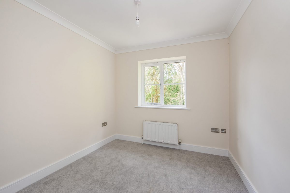 sketch_Ph4_6475818 copy