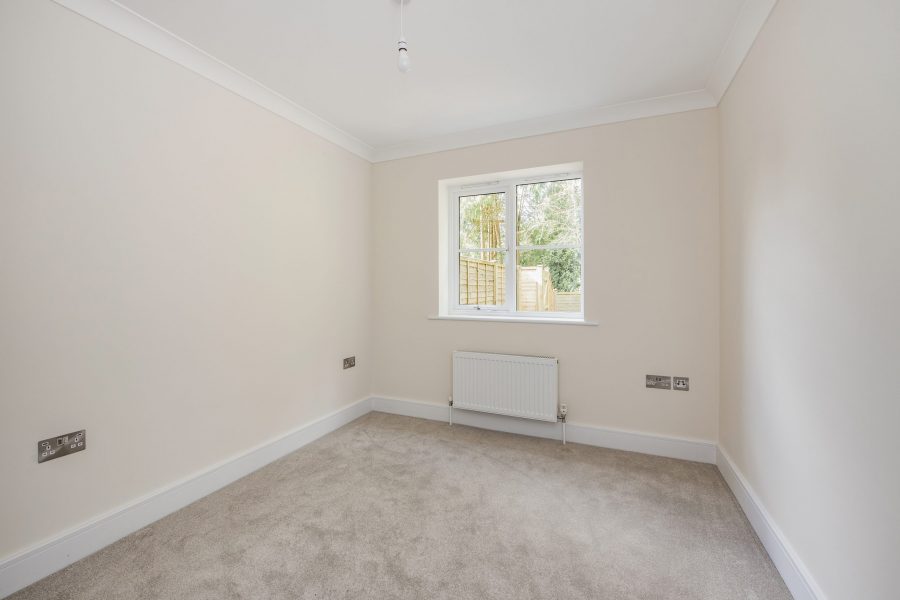 sketch_Ph6_6475752 copy