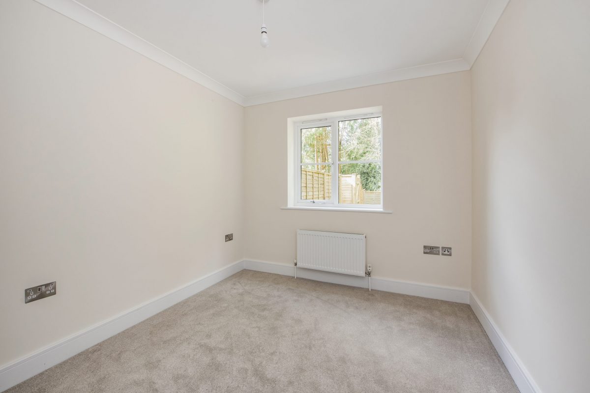 sketch_Ph6_6475752 copy