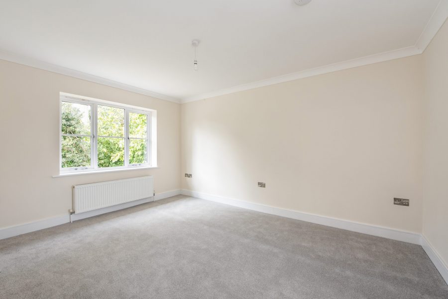 sketch_Ph7_6475822 copy